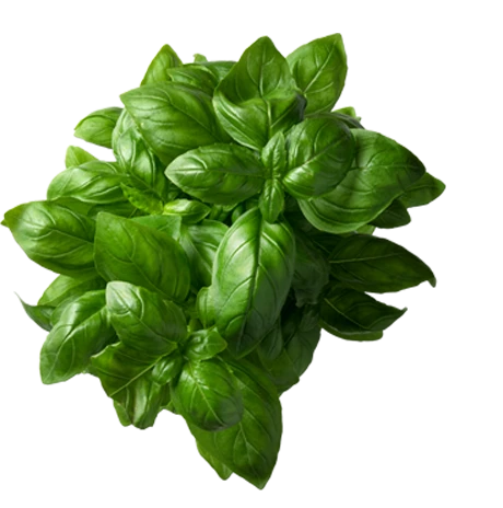 Lastrada Tarrenz frisch gekocht